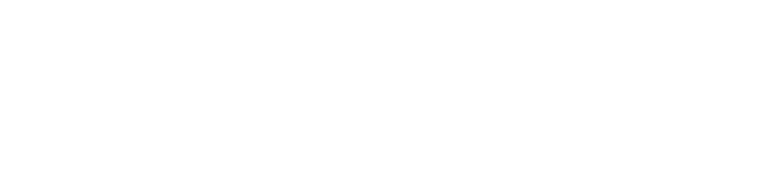 StealthSociety
